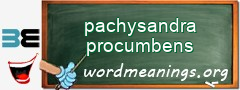 WordMeaning blackboard for pachysandra procumbens